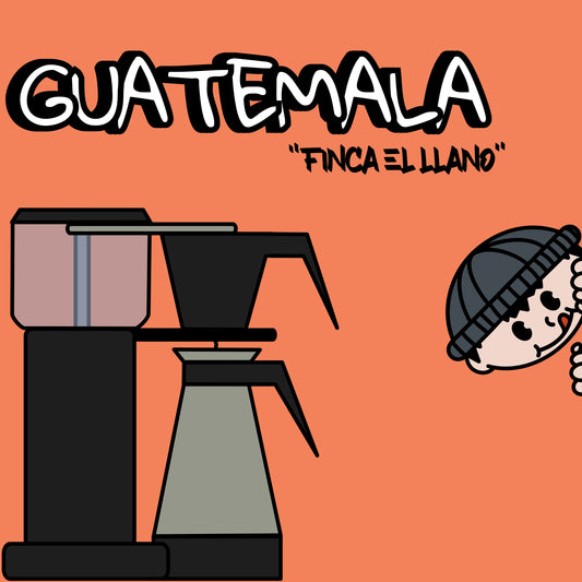 Guatemala Finca El Llano Washed